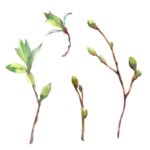 ベクトル 手で描かれた芽と葉を持つベクトル水彩春枝のセット