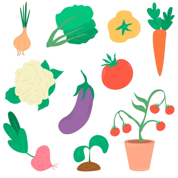 ベクトル 野菜のセット カボチャ トマト ニンニク 胡<unk>子 胡萝卜 手描きのベクトルイラスト