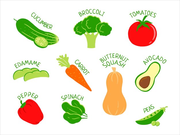 ベクトル 適切な栄養のための野菜のセット