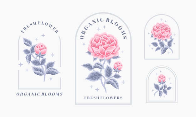 Набор старинных женской красоты роза цветочные элементы логотипа с рамкой