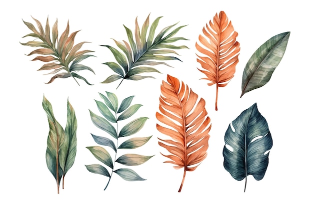 ヴィンテージのヤシの葉の自然植物装飾コレクションのセット ベクトル イラスト分離コレクション トロピカル リーフ セット