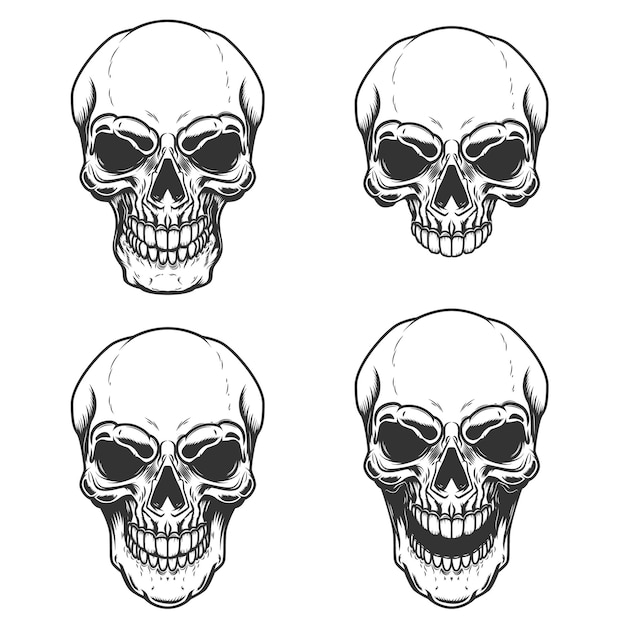 빈티지 해골 삽화의 세트