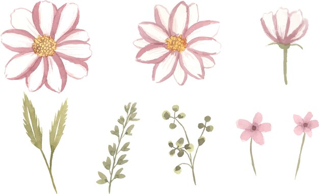 分離された花束要素を持つ水彩画の葉手描きの葉と花のセット