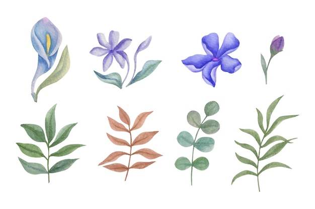 벡터 수채화 다양 한 꽃과 잎 컬렉션의 집합