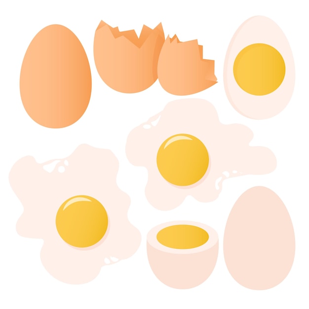 전체 달걀 날달걀과 스크램블 에그 세트
