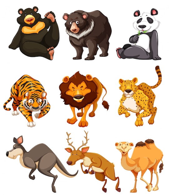 Набор символов дикого животного
