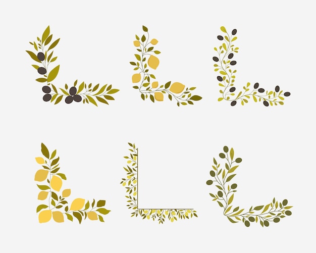 Set of olive branches with olives and leaves vector illustration