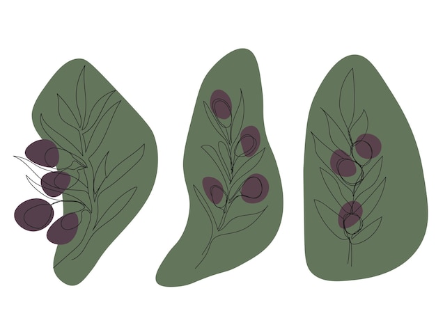 Vector set of olive branches