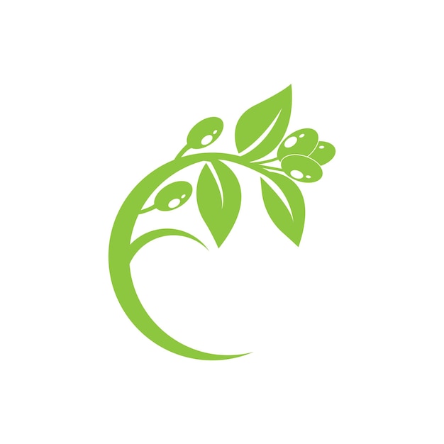 Set of Olive logo vector illustration design