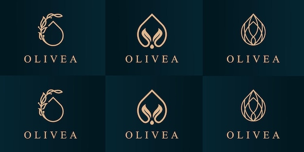 Impostare il modello di progettazione del logo dell'olio d'oliva.