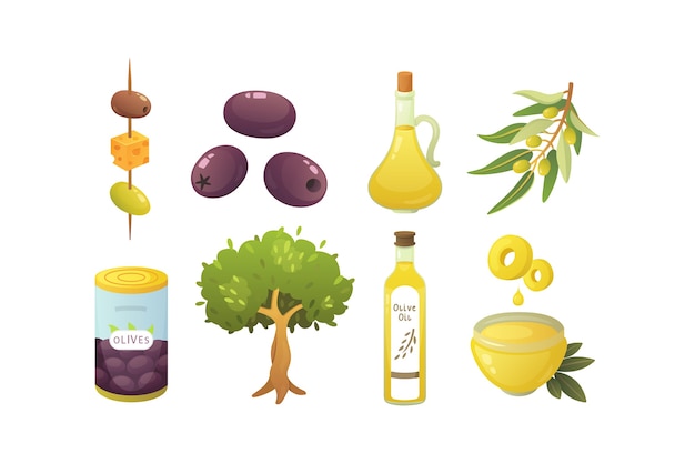 Impostare la frutta delle olive. bottiglia di olio d'oliva, illustrazione del ramo di un albero.