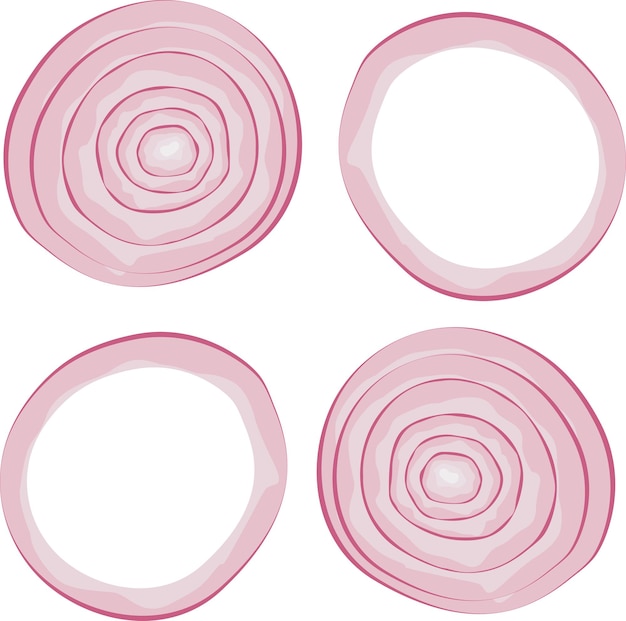 Vector set of onion slice onion ring vector illustration red onion