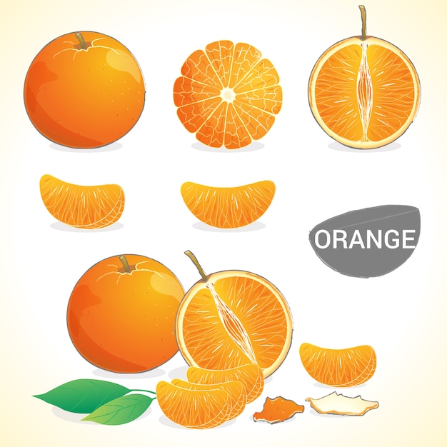Набор оранжевых фруктов в различных стилях в векторном формате