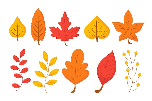 秋と秋の季節のオレンジの葉のコンセプトの葉のセットの田舎と自然の風景の田舎