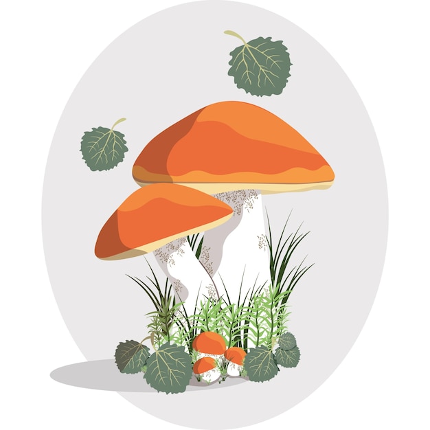 Impostare l'illustrazione vettoriale dei funghi porcini di orangecap immagine di stock isolata di funghi