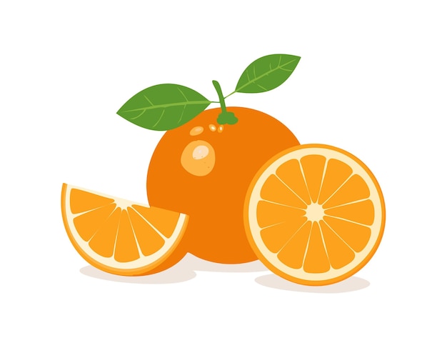 Set of oranges fruit and piece of orange isolated with background