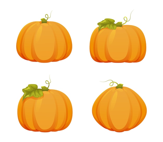 Vector set oranje pompoenen