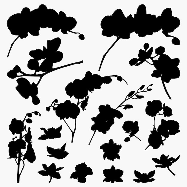 Set of Orchid Flower Silhouettes