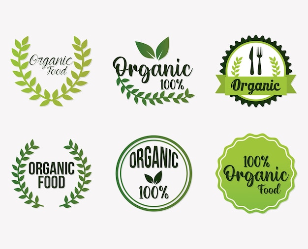 Vector set of organic food lettering.