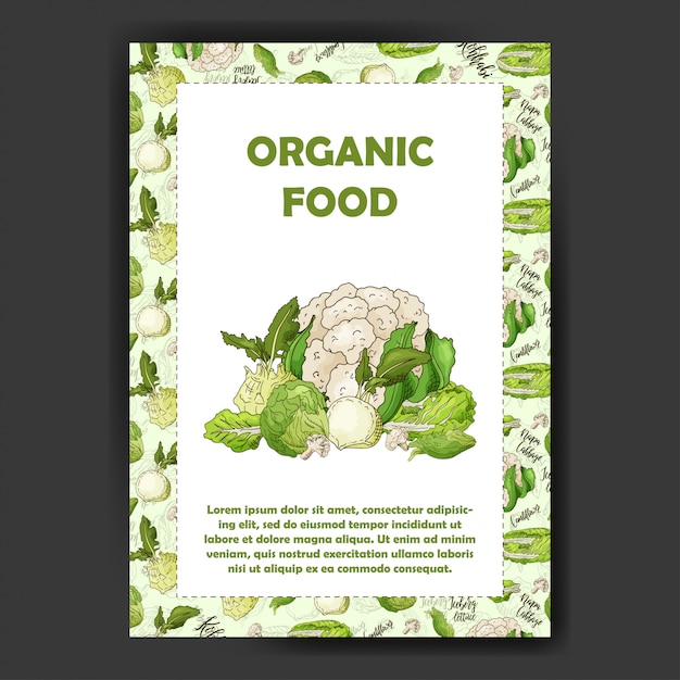 Vector set of organic food menu