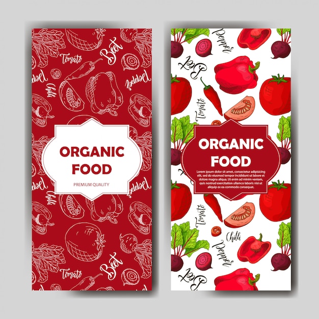 Vector set of organic food menu