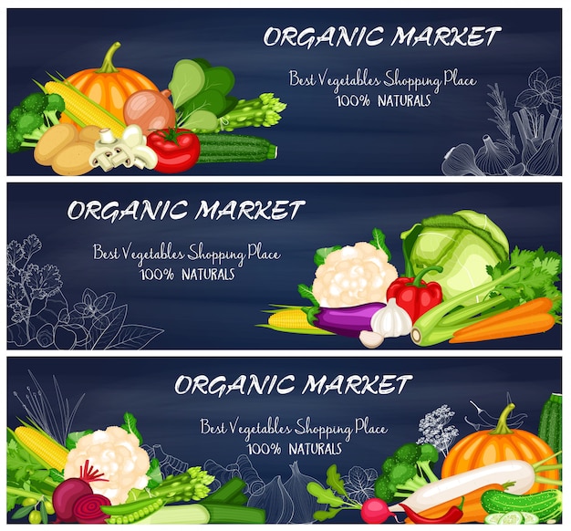 Vector set of organic vegetables market banner