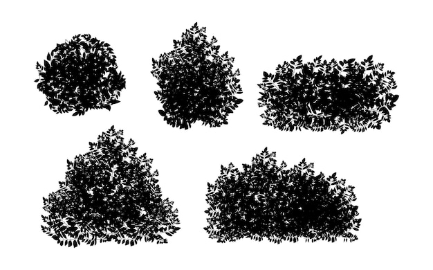 Vettore set di piante ornamentali nere a forma di siepe arbusto da giardino realistico cespuglio stagionale albero di bosso corona cespuglio fogliameper decorare un parco un giardino o una recinzione