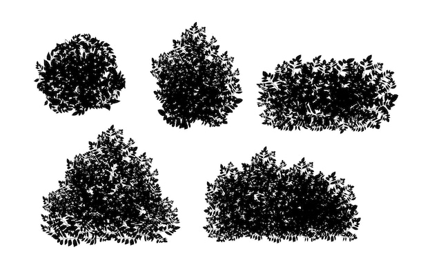 生け垣の形をした観賞用の黒い植物のセットリアルな庭の低木季節の茂みツゲの木の樹冠の茂みの葉公園、庭やフェンスの装飾用