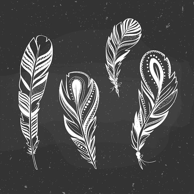 Vector set of ornamental feathers