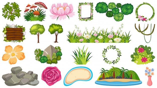 Vector set of ornamental plants