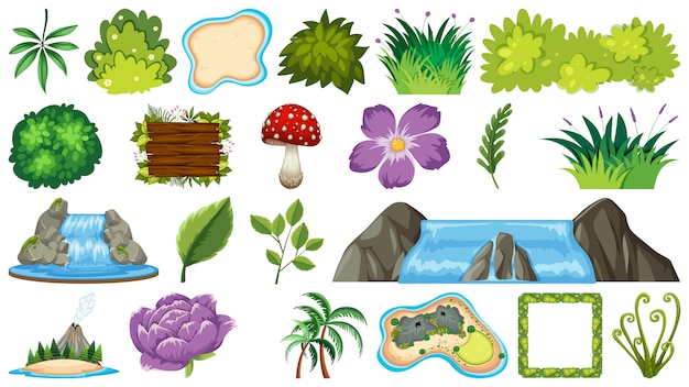 Vector set of ornamental plants