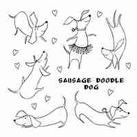 Vector set of outline dachshund dogs characters