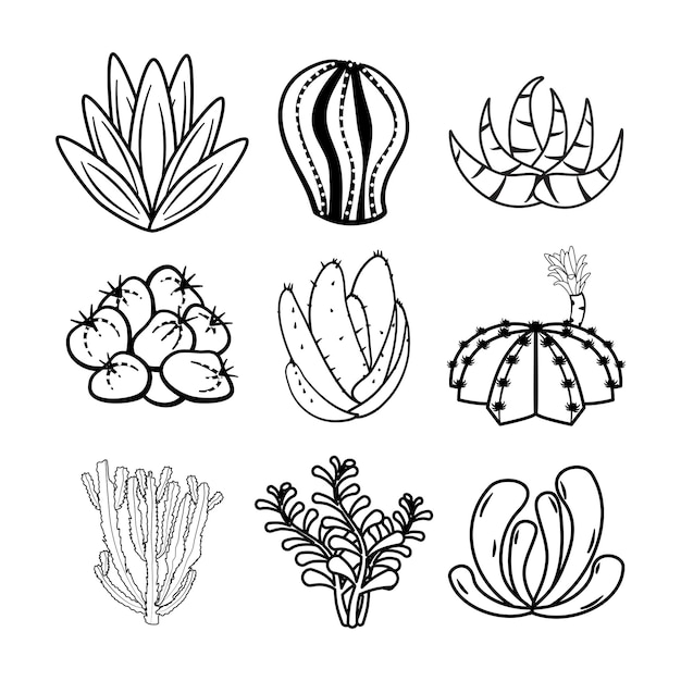 落書きスタイルでサボテンと多肉植物の輪郭を設定します。手描きのサボテンの白黒の線画セット。
