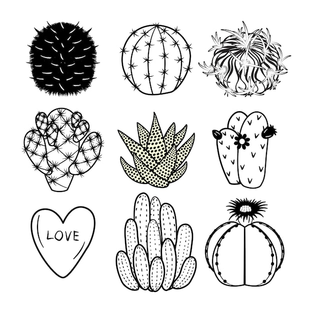 Set outlines cactus and succulents in doodle style. Hand drawn cactus black and white line art set.