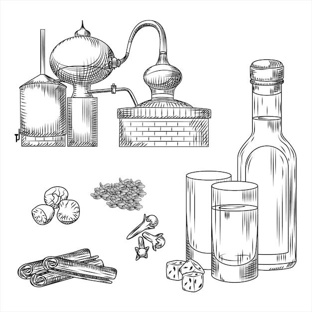 Impostare l'alcol greco ouzo su sfondo bianco. bicchiere, bottiglia, cannella, chiodi di garofano, anice, noce moscata, alambicco. illustrazione vettoriale di incisione stile vintage contorno nero.