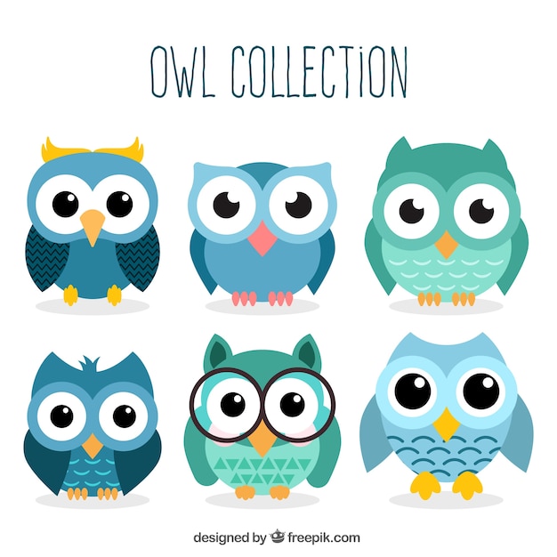 Set of owl characters