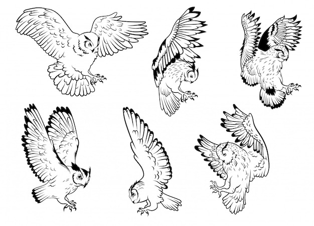 Vector set of owls. collection of silhouettes of owls with spread wings. a symbol of wisdom.