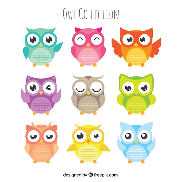 Vector set of owls with large eyes in flat design