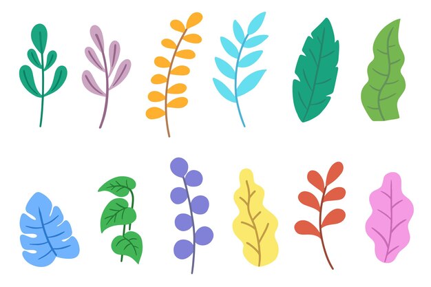 Vector set pack of flat leaf leaves element plant tropical botanical illustration