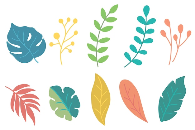 Vector set pack of flat leaf leaves element plant tropical botanical illustration