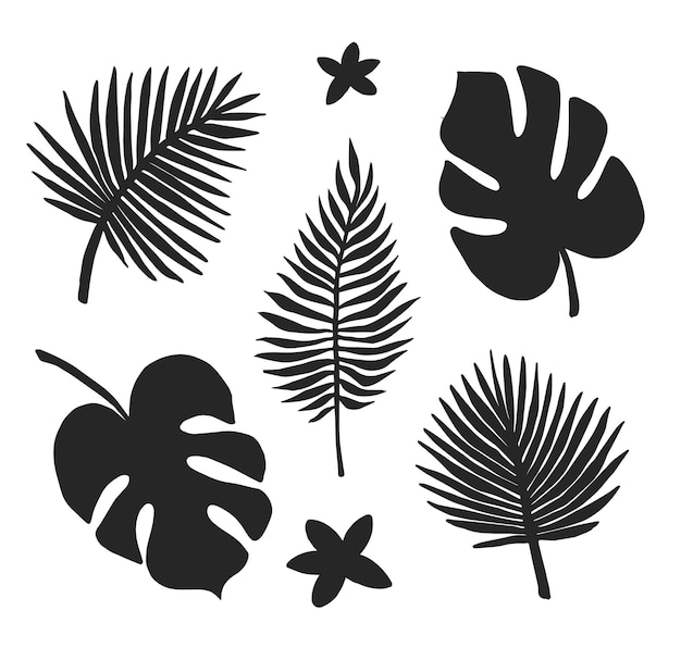 Set of palm leaves