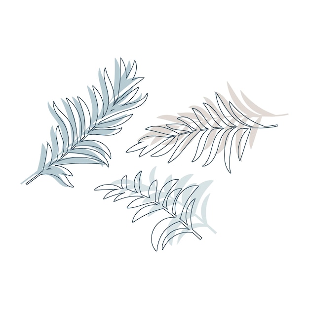 Set of Palm tree and tropical leaf isolated on white Exotic floral design element foliage