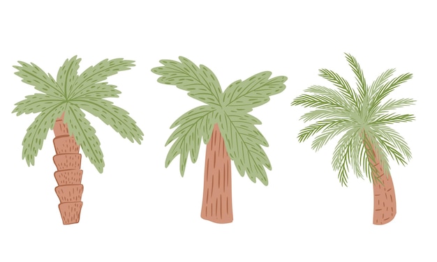Vector set of palm trees isolated on white
