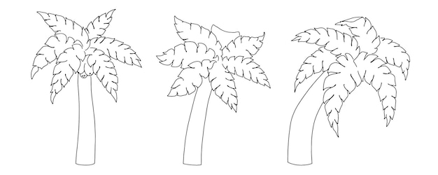 Set of palm trees linear sketch doodle