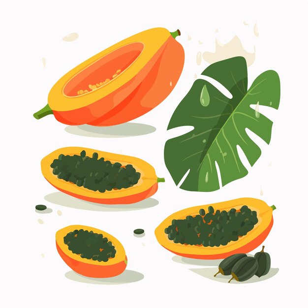 Set of papaya fruit illustrations in a flat design style