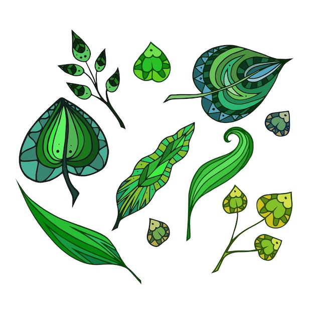 Set of patterned doodle green leaves Vector element for invitations brochures and your design