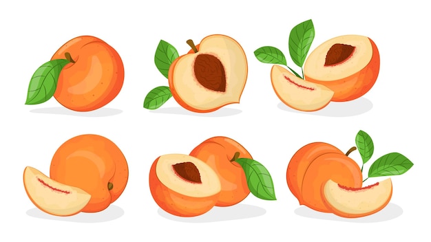 A set of peaches with the word peaches on the side.