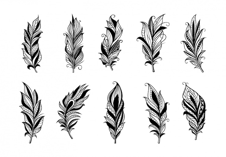 Premium Vector | Set of peerless decorative feather illustration