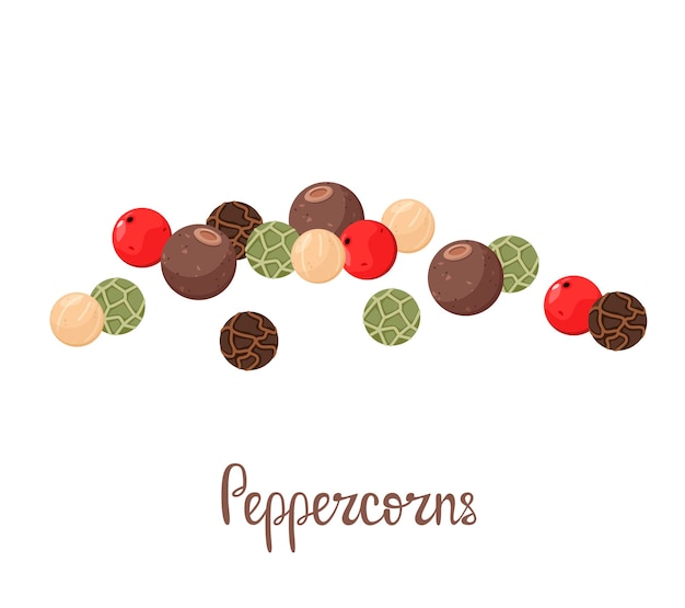 A set of peppercorns on a white background Spices