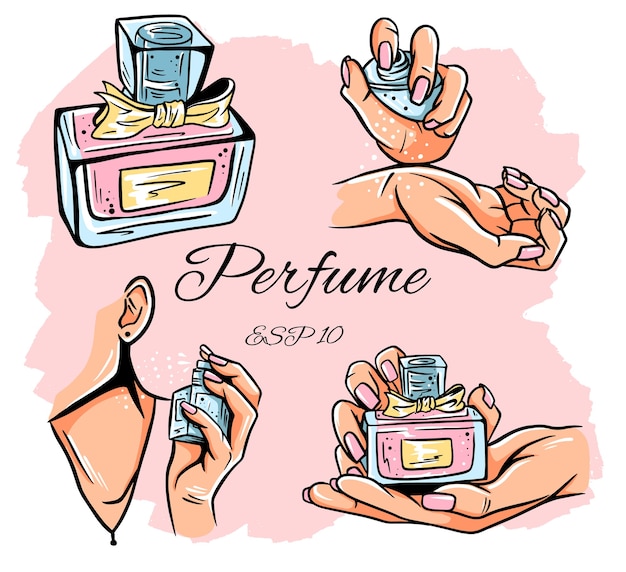 Set of perfume bottles illustration. Eau de parfum. Eau de Toilette. Perfume bottle in hand. Isolated objects.